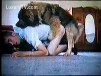 Doggy on a man